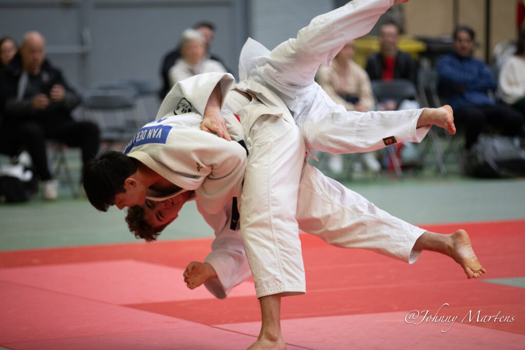 golden judo cub 2024